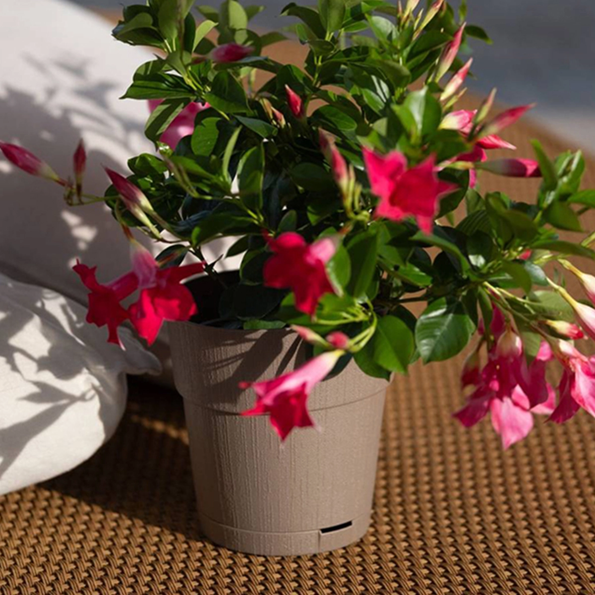 Bloempot 'Ethica'